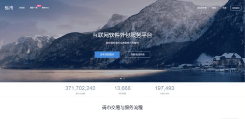 程序員接單網(wǎng)站與軟件外包服務 靈活就業(yè)與高效開發(fā)的橋梁